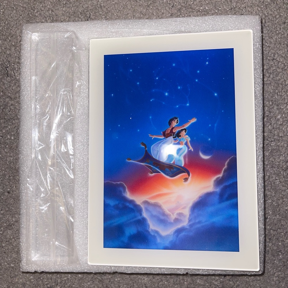 Disney Drop Aladdin Acrylic Print with Stand Aladdin & Princess Jasmine